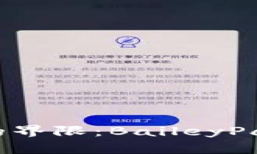 突破区块链技术的界限：BaileyPay钱包开发全指南