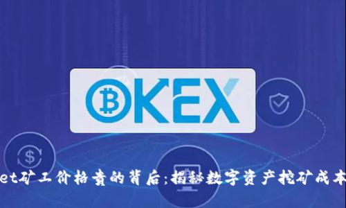 tpWallet矿工价格贵的背后：揭秘数字资产挖矿成本与价值