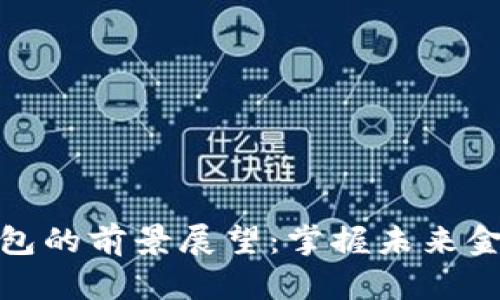 数字货币钱包的前景展望：掌握未来金融的新钥匙