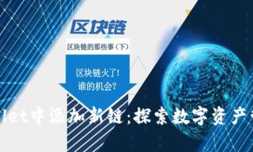 如何在tpWallet中添加新链：探索数字资产管理的新境界