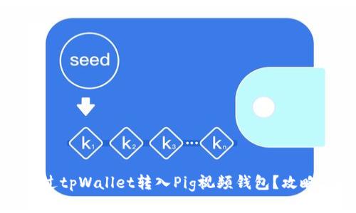如何通过tpWallet转入Pig视频钱包？攻略与技巧
