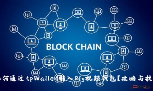 如何通过tpWallet转入Pig视频钱包？攻略与技巧