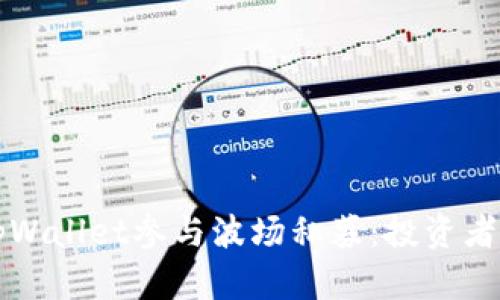 如何利用tpWallet参与波场私募：投资者的终极指南