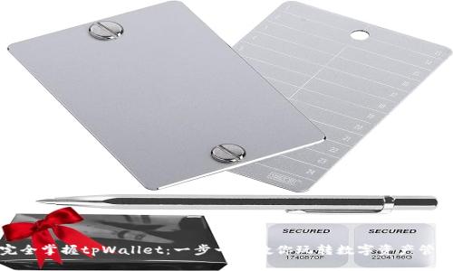 完全掌握tpWallet：一步一步教你玩转数字资产管理