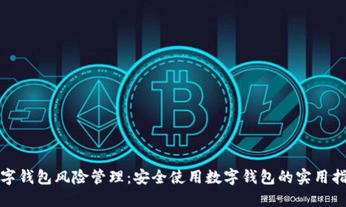 数字钱包风险管理：安全使用数字钱包的实用指南
