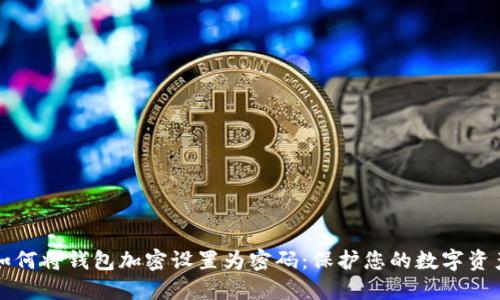 如何将钱包加密设置为密码：保护您的数字资产
