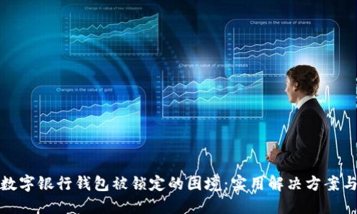 如何应对数字银行钱包被锁定的困境：实用解决方案与预防技巧
