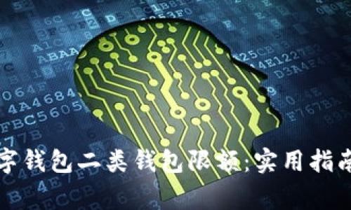 解读工行数字钱包二类钱包限额：实用指南与常见问题