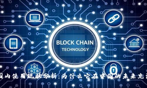 tpWallet国内使用现状分析：为什么它在中国的未来充满不确定性