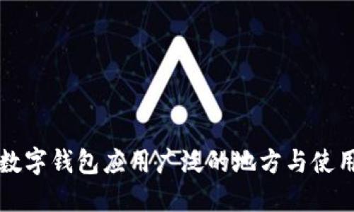 上海数字钱包应用广泛的地方与使用技巧