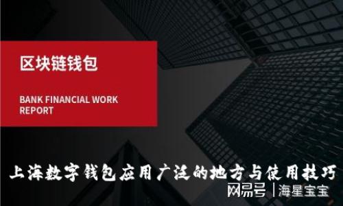 上海数字钱包应用广泛的地方与使用技巧