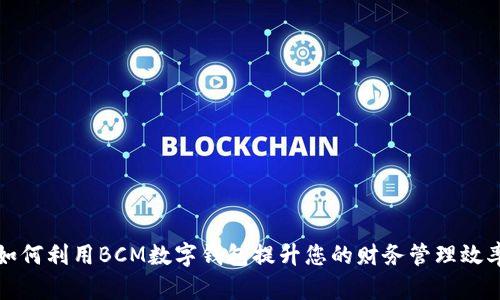 如何利用BCM数字钱包提升您的财务管理效率