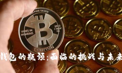 区块链钱包的瓶颈：面临的挑战与未来的机遇