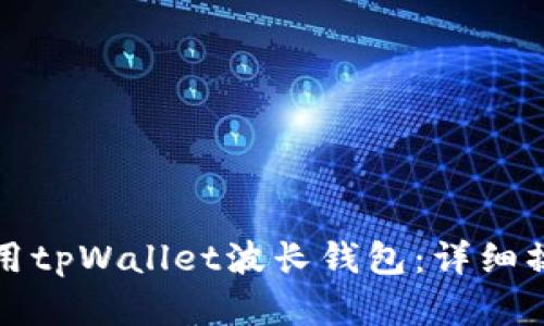 如何高效使用tpWallet波长钱包：详细操作流程解析