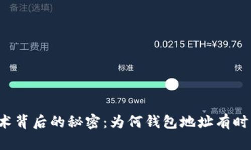 区块链技术背后的秘密：为何钱包地址有时无法显示？