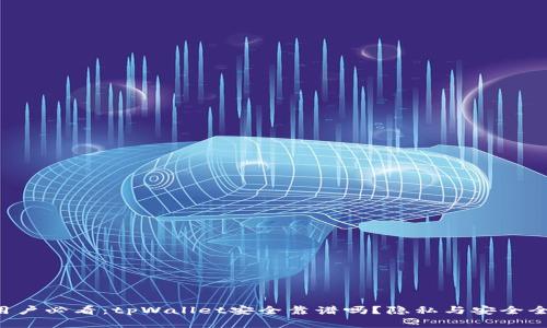 苹果用户必看：tpWallet安全靠谱吗？隐私与安全全解析！