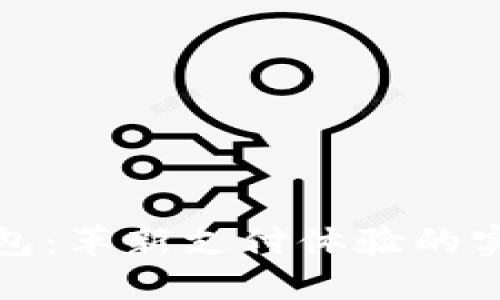数字钱包：革新支付体验的实用之钥