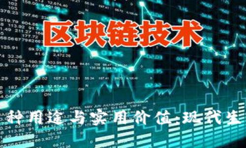 数字钱包的多种用途与实用价值：现代生活的必备工具