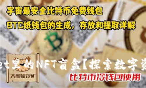 如何打开tpWallet里的NFT盲盒？探索数字资产的乐趣与价值