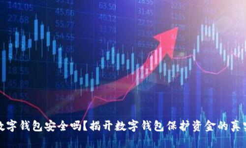 钱放数字钱包安全吗？揭开数字钱包保护资金的真实面纱