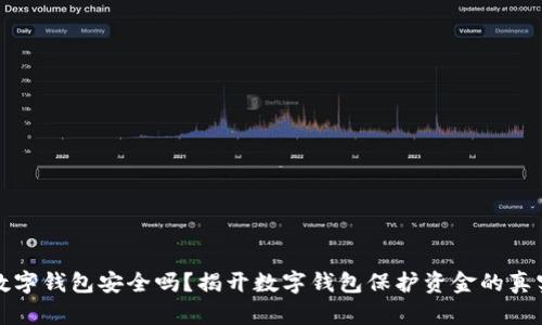 钱放数字钱包安全吗？揭开数字钱包保护资金的真实面纱