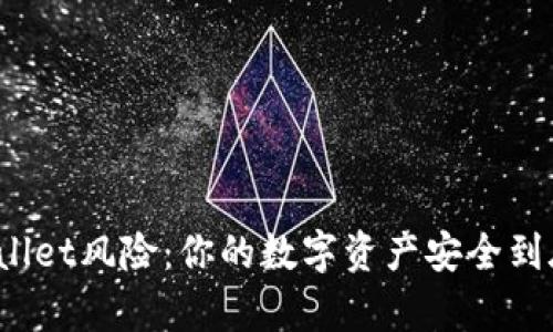 揭秘tpWallet风险：你的数字资产安全到底有多大？