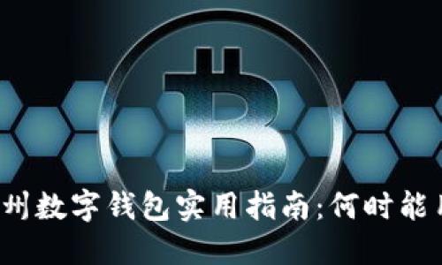 杭州数字钱包实用指南：何时能用？