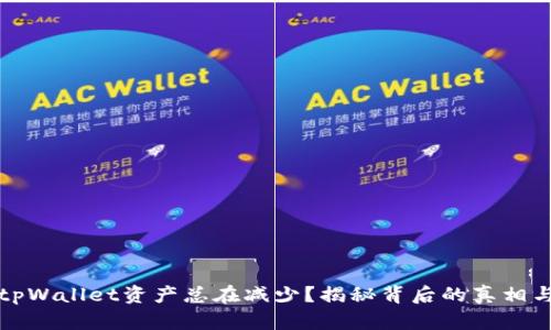 为何你的tpWallet资产总在减少？揭秘背后的真相与应对策略