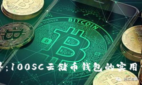 探索区块链世界：100SC云储币钱包的实用价值与未来潜力
