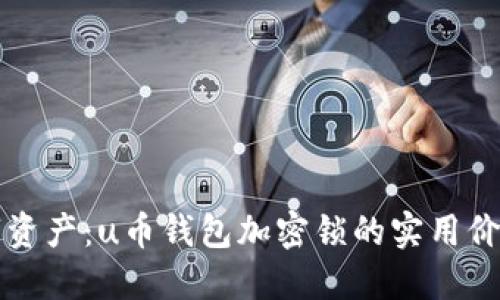 保护你的数字资产：u币钱包加密锁的实用价值与使用指南