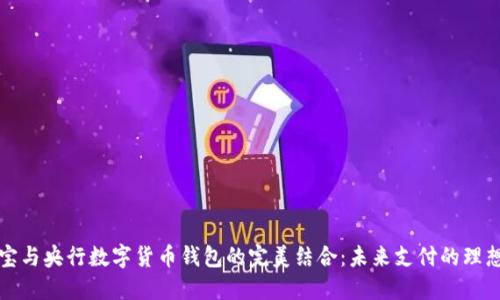 支付宝与央行数字货币钱包的完美结合：未来支付的理想选择