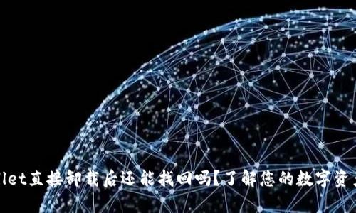 tpWallet直接卸载后还能找回吗？了解您的数字资产安全