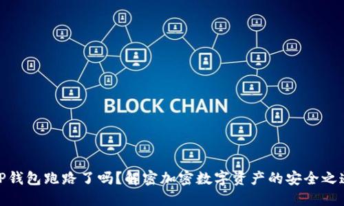 TP钱包跑路了吗？解密加密数字资产的安全之道