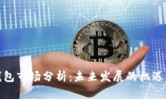 数字钱包市场分析：未来发展的机遇与挑战