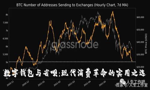 数字钱包与省呗：现代消费革命的实用之选