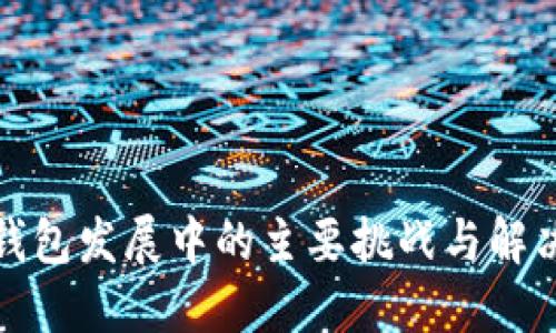 数字钱包发展中的主要挑战与解决方案
