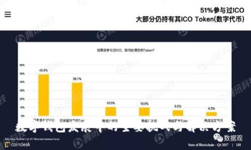 数字钱包发展中的主要挑战与解决方案