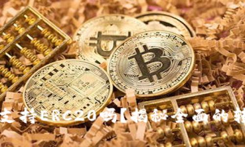 tpWallet转账支持ERC20吗？揭秘全面的转账功能与优势