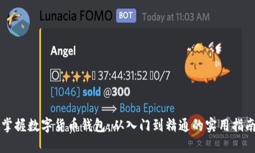 掌握数字货币钱包：从入门到精通的实用指南