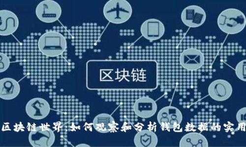 探索区块链世界：如何观察和分析钱包数据的实用指南