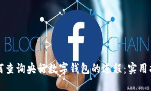 ### 如何查询央行数字钱包的进程：实用指南与技巧