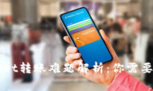 ### tpWallet转账难题解析：你需要知道的那些事