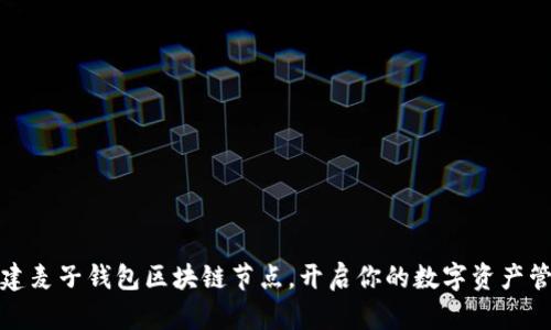 轻松搭建麦子钱包区块链节点，开启你的数字资产管理之旅