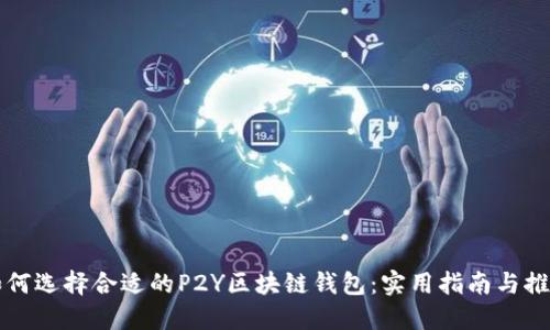 如何选择合适的P2Y区块链钱包：实用指南与推荐