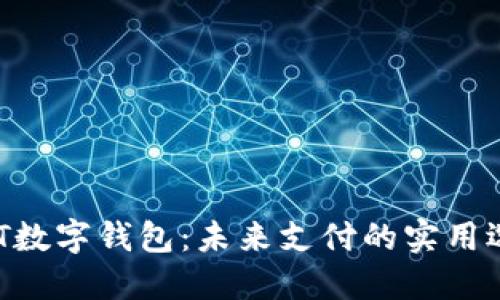SMT数字钱包：未来支付的实用选择