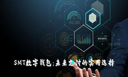 SMT数字钱包：未来支付的实用选择