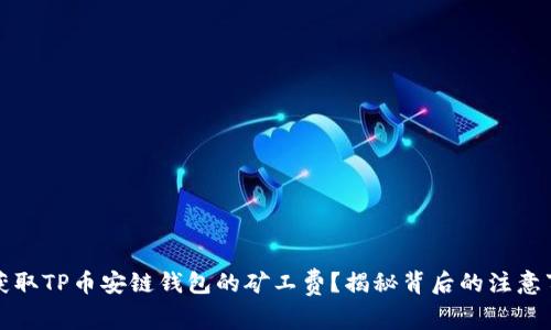 如何轻松获取TP币安链钱包的矿工费？揭秘背后的注意事项与技巧
