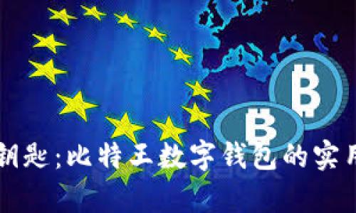 掌握财富的钥匙：比特王数字钱包的实用价值与技巧