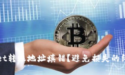 tpWallet转账地址填错？避免损失的终极指南