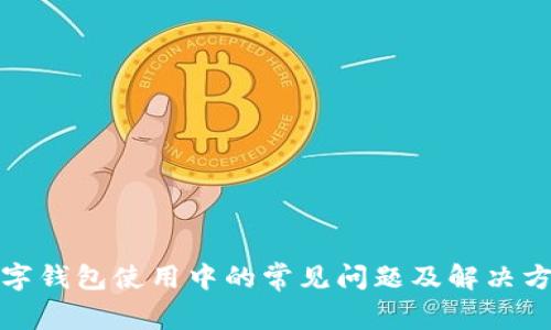 数字钱包使用中的常见问题及解决方案